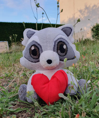 Raton laveur avec un cœur