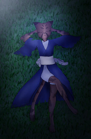 Chat qui dort la nuit